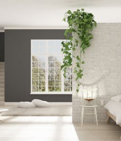 A beautiful home renovation.