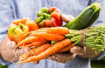 Fresh wet vegetables in gardeners hands