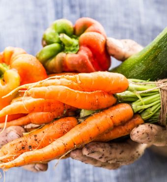 Fresh wet vegetables in gardeners hands