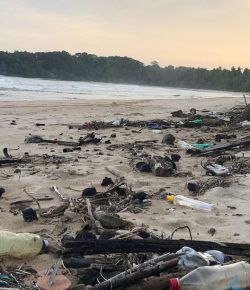 Rubbish on beach