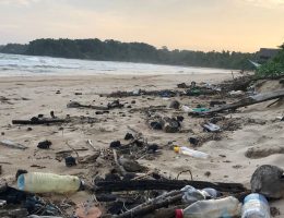 Rubbish on beach