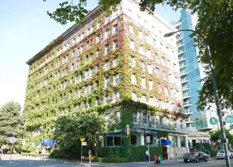 Biophilic design Biophilic design